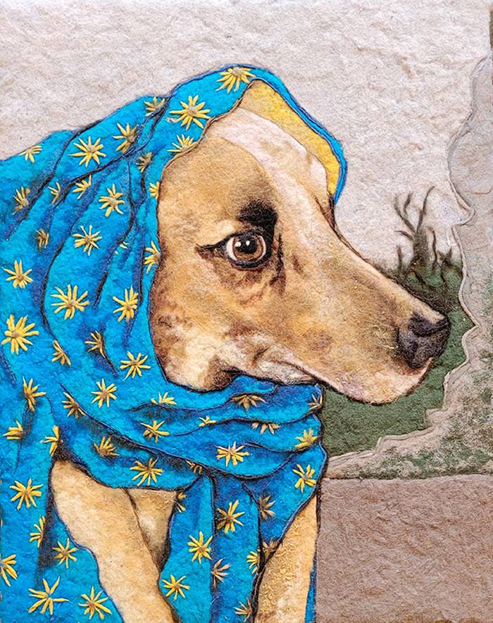 Image of tan dog with worried expression wearing a blue and yellow scarf around neck and head